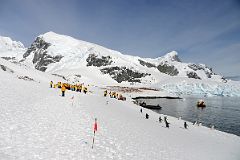 22C Tourists Mingle With Gentoo Penguins On Cuverville Island With Mount Britannia And Mount Tennant On Ronge Island On Quark Expeditions Antarctica Cruise.jpg